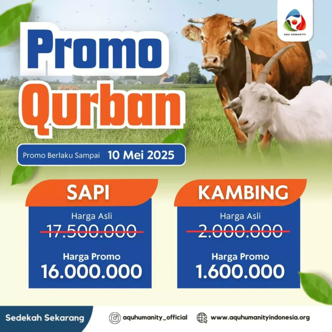 promo-qurban-10-mei-2025