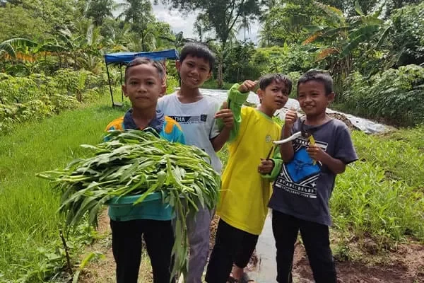 pemberdayaan-yatim-dengan-budidaya-lele-dan-kebun-sayur-4-69abe454dff45